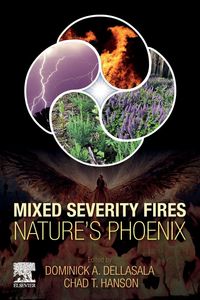 Produktbild: Mixed Severity Fires