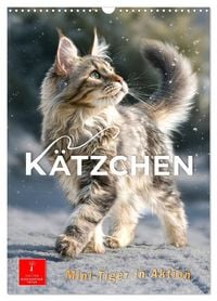Produktbild: K&auml;tzchen - Mini-Tiger in Aktion (Wandkalender 2027 DIN A3 hoch), CALVENDO Monatskalender