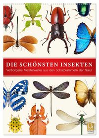 Produktbild: Die sch&ouml;nsten Insekten (Wandkalender 2026 DIN A2 hoch), CALVENDO Monatskalender