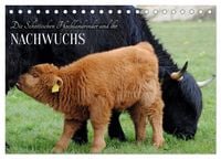 Produktbild: Die Schottischen Hochlandrinder und ihr Nachwuchs (Tischkalender 2026 DIN A5 quer), CALVENDO Monatskalender