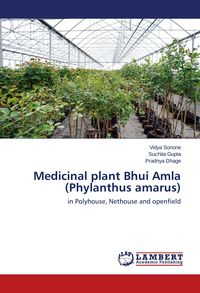 Produktbild: Medicinal plant Bhui Amla (Phylanthus amarus)