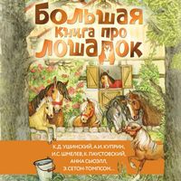 Produktbild: Bol'shaya kniga pro loshadok