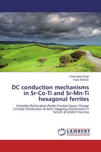 Produktbild: DC conduction mechanisms in Sr-Co-Ti and Sr-Mn-Ti hexagonal ferrites