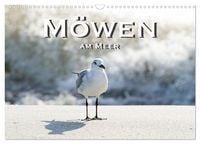 Produktbild: M&ouml;wen am Meer (Wandkalender 2026 DIN A3 quer), CALVENDO Monatskalender