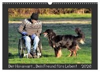 Produktbild: Der Hovawart... Dein Freund f&uuml;rs Leben ! (Wandkalender 2026 DIN A3 quer), CALVENDO Monatskalender