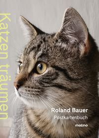 Produktbild: Katzen tr&auml;umen