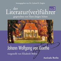 Bild vom Artikel Der Literatur(ver)führer - Band 2: Johann Wolfgang von Goethe vom Autor Elisabeth Böhm