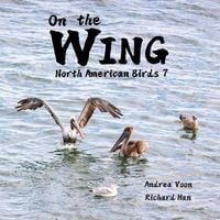 Produktbild: On the Wing - North American Birds 7