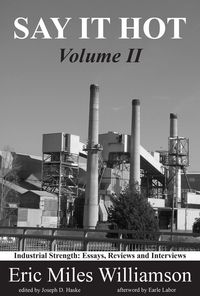 Produktbild: Say It Hot, Volume II:
