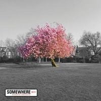 Produktbild: Somewhere