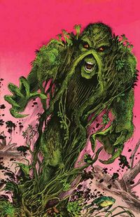 Produktbild: Swamp Thing Bk08 Spontaneous G