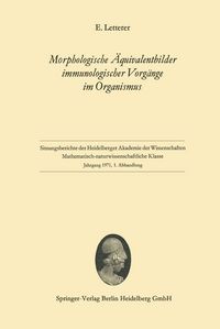 Produktbild: Morphologische &Auml;quivalentbilder immunologischer Vorg&auml;nge im Organismus