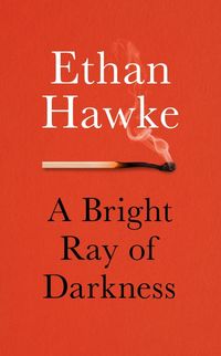 Bild vom Artikel A Bright Ray of Darkness vom Autor Ethan Hawke