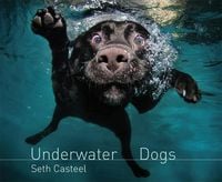 Produktbild: Casteel, S: Underwater Dogs