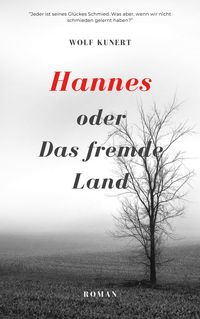 Produktbild: Hannes oder Das fremde Land