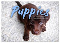 Produktbild: Puppies - Die niedlichsten Vierbeiner der Welt. (Wandkalender 2026 DIN A3 quer), CALVENDO Monatskalender