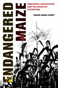 Produktbild: Endangered Maize