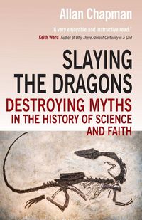 Produktbild: Slaying the Dragons