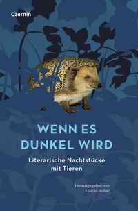 Produktbild: Wenn es dunkel wird