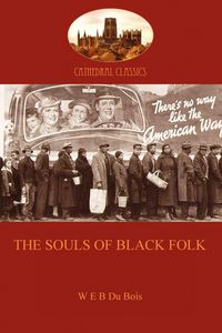 Produktbild: The Souls of Black Folk
