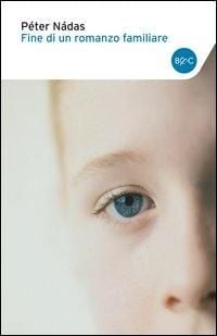 Produktbild: Fine di un romanzo familiare