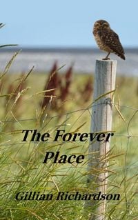 Produktbild: The Forever Place