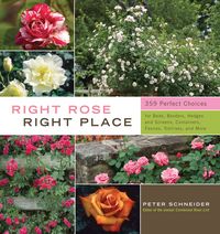 Produktbild: Right Rose Right Place