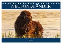 Produktbild: Neufundl&auml;nder - Ein b&auml;renstarker Freund (Tischkalender 2027 DIN A5 quer), CALVENDO Monatskalender