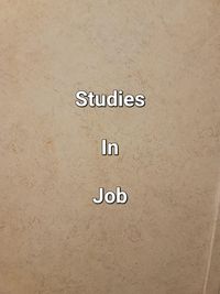 Produktbild: Studies In Job