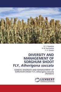Produktbild: Diversity and Management Of Sorghum Shoot Fly, Atherigona Soccata