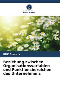 Produktbild: Beziehung zwischen Organisationsvariablen und Funktionsbereichen des Unternehmens