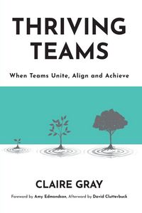 Produktbild: Thriving Teams