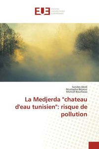 Produktbild: La Medjerda "chateau d'eau tunisien": risque de pollution