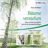 Produktbild: B&auml;ume verstehen