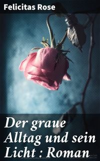 Produktbild: Der graue Alltag und sein Licht