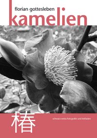 Produktbild: Kamelien