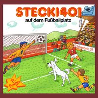 Produktbild: Stecki 401 auf dem Fu&szlig;ballplatz
