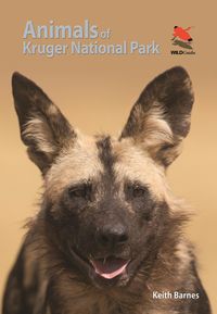 Produktbild: Animals of Kruger National Park