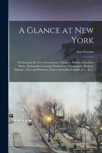 Produktbild: A Glance at New York: Embracing the City Government, Theatres, Hotels, Churches, Mobs, Monopolies, Learned Professions, Newspapers, Rogues,