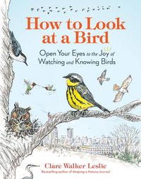 Produktbild: How to Look at a Bird
