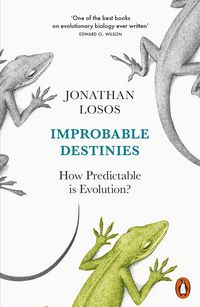 Produktbild: Improbable Destinies