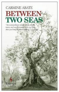 Produktbild: Abate, C:  Between Two Seas
