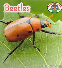 Produktbild: Beetles