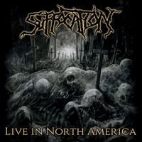 Produktbild: Live In North America