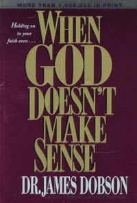 Produktbild: When God Doesn't Make Sense