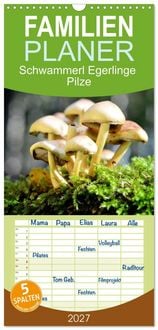 Produktbild: Familienplaner 2027 - Schwammerl Egerlinge Pilze mit 5 Spalten (Wandkalender, 21 x 45 cm) CALVENDO