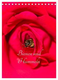 Produktbild: Bienen und Hummeln (Tischkalender 2026 DIN A5 hoch), CALVENDO Monatskalender