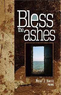 Produktbild: Bless the Ashes