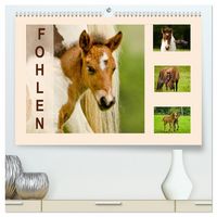 Produktbild: Fohlen, gl&uuml;cklich in der Herde (hochwertiger Premium Wandkalender 2026 DIN A2 quer), Kunstdruck in Hochglanz