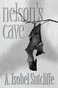 Produktbild: Nelson's Cave-Gospel